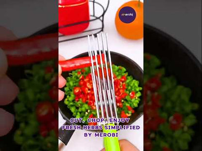 Multifunction Vegetable Stainless steel Herbs Scissor,5 blade with blade comb